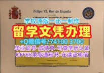 西班牙毕业证哪里办理/萨拉戈萨大学本科毕业证学位证书电子版哪里买UniZAR硕士学历证书 Universidad de Zaragoza Diploma