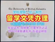加拿大硕士学历证书原版复刻|不列颠哥伦比亚大学硕士毕业证书快速办理|UBC本科学位证书哪里办理