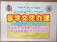 留信网入网!原版制作巴利亚多利德大学学士学位证书西班牙UVa毕业文凭证书 Office Transcript