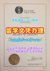 真实可查新西兰高等教育学院本科文凭证书|NZTC文凭学历认证1:1制作New Zealand Institute of Advanced Education Master Degree