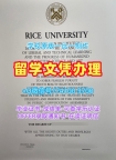 美国毕业证办理/莱斯大学毕业证认证毕业成绩单急速办理Rice本科文凭证书 Rice University Bachelor Diploma