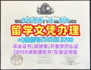 在线制作伊利诺伊大学厄巴纳-香槟分校学位证书|UIUC毕业证书官方认证University of Illinois Urbana-Champaign Master Degree