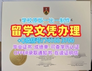 加拿大文凭等级怎么购买|新布伦瑞克大学本科毕业证在线制作|UNB学位证书案例开除