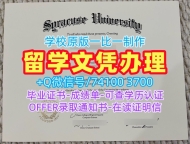 在线制作雪城大学电子版毕业证书|Syracuse文凭学历认证官方认证Syracuse University Graduate Certificate