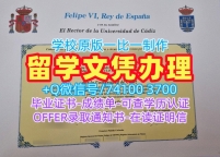 国外大学毕业证样本!在线制作加的斯大学电子版成绩单西班牙UCA毕业文凭证书 Bachloer Degree