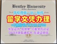 美国学历学位证书急速办理|本特利大学毕业证书扫描件开除|Bentley学位证书样板原版制作