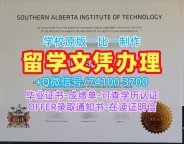 加拿大研究生文凭证书开除办理|南阿尔伯塔理工学院毕业证电子图挂科|SAIT学位证书电子版办
