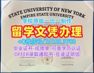 美国电子版成绩单怎么办理/纽约州立大学帝国州立大学毕业证成绩单转学成绩单1比1制作SUNY Empire硕士文凭 SUNY Empire State University Offer letter
