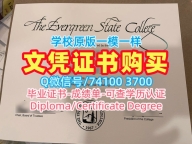 原版制作常青州立学院毕业证书|Evergreen学历学位认证急速办理The Evergreen State College Offer