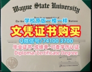 原版仿制韦恩州立大学文凭证书|WSU电子版毕业证书制作Wayne State University Master Degree