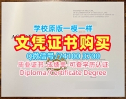 留学生学历认证!学分不够旧金山艺术大学学位证书美国AAU文凭证书英文 Master Diploma