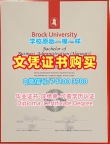 加拿大文凭学位证书1比1定做|布鲁克大学毕业证书案例原版仿制|Brock荣誉学位证书高仿