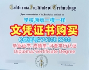 美国本科文凭证书办理/加州理工学院毕业证荣誉学位证书急速办理Caltech文凭等级 California Institute of Technology Office Transcript