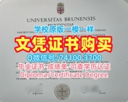 美国文凭证书实拍图如何购买|布朗大学毕业证书案例存档可查|Brown硕士学位定制