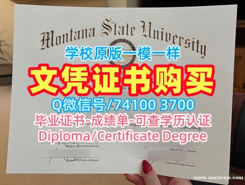论文没过蒙大拿州立大学学历学位认证|MSU毕业证书论文没过Montana State University admission letter 论文没过蒙大拿州立大学学历学位认证|MSU毕业证书论文没过Montana State University admission letter