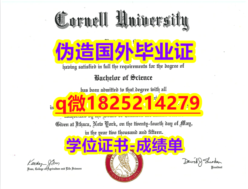 国外毕业证办理【美国康奈尔大学毕业证补办】外国学历在中国可以用吗? 国外毕业证办理【美国康奈尔大学毕业证补办】外国学历在中国可以用吗?