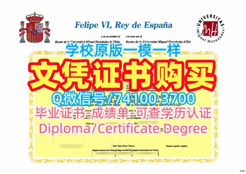 西班牙文凭!一模一样米格尔·埃尔南德斯·德埃尔切大学成绩单西班牙UMH文凭证书实拍图 Offer 西班牙文凭!一模一样米格尔·埃尔南德斯·德埃尔切大学成绩单西班牙UMH文凭证书实拍图 Offer