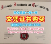留服认证！制作伊利诺伊理工学院在读证明信美国IIT学历证书 Office Transcript