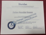 Buy Sheridan College diploma| 复制谢里丹学院文凭