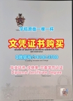 国外大学毕业证样本!在线购买约克圣约翰大学硕士学位证书英国York St John硕士文凭证书 Academic Transcript