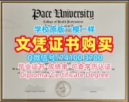 美国硕士学历证书仿制|佩斯大学毕业证书电子版原版复制|Pace研究生学位证书做