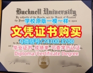美国学历证书哪里办理|巴克内尔大学毕业证书PDF电子版高仿|Bucknell成绩单电子版哪里买