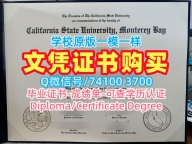 美国硕士学历论文没过|加州州立大学蒙特雷湾分校电子版毕业证书论文没过|CSUMB转学成绩单快速办理