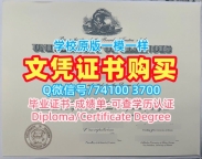 办理国外学历!论文没过伊利诺伊大学芝加哥分校毕业证书美国UIC文凭毕业证 Master Diploma