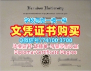 在线办理布兰登大学本科毕业证书|Brandon毕业完成信在线办理Brandon University Master Degree