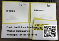 IU Internationale Hochschule Urkunde and Zeugnis