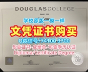 成绩单制作!真实可查道格拉斯学院在读证明信加拿大DC硕士文凭证书 admission letter