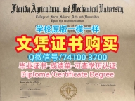 原版制作佛罗里达农工大学学位证|FAMU硕士文凭证书急速办理Florida A&M University Offer