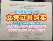 哪里卖纽约市立大学亨特学院毕业证|Hunter电子版毕业证书1比1制作Hunter College Master Degree