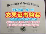 论文没过南佛罗里达大学成绩单|USF学位证论文没过University of South Florida Office Transcript