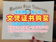 论文没过蒙大拿州立大学学历学位认证|MSU毕业证书论文没过Montana State University admission letter