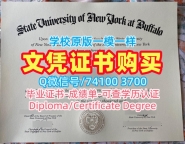 美国本科学历加急办理|纽约州立大学布法罗分校硕士毕业证书原版定制|UB学位证书实拍图怎么购买