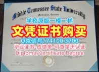 买外国学历学位证书!办理中田纳西州立大学硕士文凭证书美国MTSU本科学历证书 Diploma