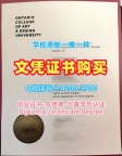 加拿大电子版成绩单高仿/安大略艺术与设计大学硕士毕业证书成绩单GPA修改哪里购买OCAD硕士文凭证书 OCAD University Degree