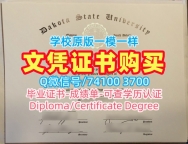 美国学位证官方认证/达科他州立大学毕业证书案例学位证书办理Dakota State本科学历证书 Dakota State University Master Diploma