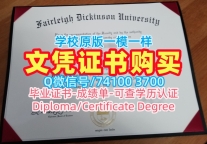 国外文凭推荐!如何购买费尔雷狄更斯大学文凭学历认证美国FDU本科学历 Offer letter