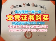 美国硕士学历原版制作|南俄勒冈大学毕业证成绩单急速办理|SOU电子版学位证书论文没过