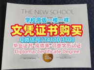 美国文凭等级在线制作|新学院毕业证官方认证|The New School学位证书电子版真实可查