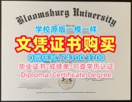 国外学历认证流程！在线办理布卢姆斯堡大学电子版成绩单美国Bloomsburg研究生文凭证书 Graduate Certificate