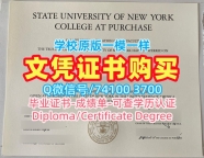 美国硕士学位证书怎么购买/纽约州立大学帕切斯学院毕业证书PDF电子版成绩单电子版开除Purchase学历证书 SUNY Purchase College Transcript