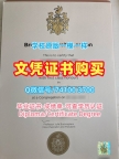 英国学历学位证书一模一样|布鲁内尔大学电子版毕业证书原版定做|Brunel学位证书电子版原版复刻