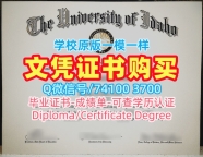 哪里卖爱达荷大学电子版毕业证书|Idaho硕士文凭证书1比1制作University of Idaho Offer