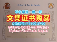 在线制作瓦伦西亚大学电子版成绩单|UV文凭学历认证官方认证Universitat de València Offer