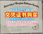 补办大学文凭成绩单!开除办理马里兰大学巴尔的摩郡分校硕士学位证书美国UMBC文凭等级 Offer