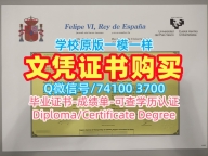 哪里购买巴斯克大学本科文凭证书|UPV毕业证哪里购买Universidad del País Vasco Graduate Certificate