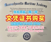 办理国外毕业证学位证！1比1复刻马萨诸塞海事学院学位证美国MMA硕士学历 Transcript